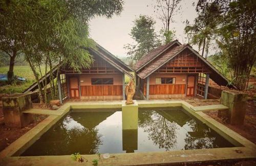 Thirunelly Bed & Breakfast | Vattakkuny Wild Orchid Resorts