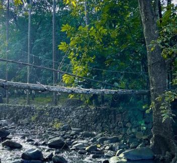 Malappuram House | Vayalil Homestay