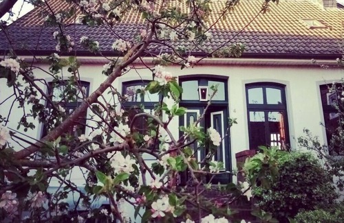 Ditzum House | Veerman's Huis Ditzum