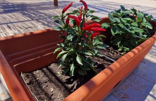 Granelli House | Vento del Sud casa vacanze