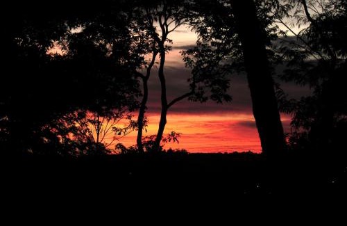 Leandro N. Alem House | VerdeMonte - Cabaña Anchico