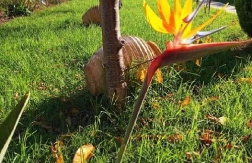 Nikiana Hotel | Vergina Star Hotel