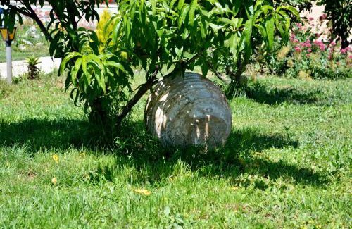 Nikiana Hotel | Vergina Star Hotel