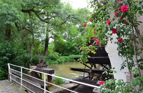 Monts Cottage | Very calm charming mill 15km from Tours - Paradisiac!