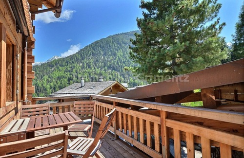 Grimentz Apartment | Very comfortable flat on 2 levels for 6 people, living room, kitchen area with dishwasher, 1 double