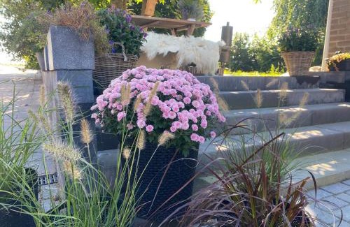 Vilt Bed & Breakfast | Vida Verde