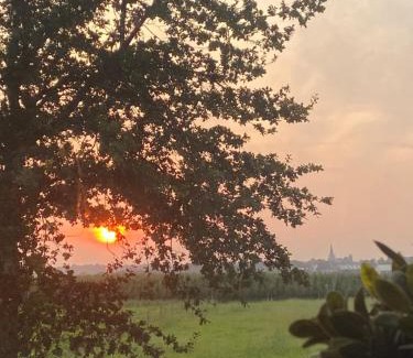 Vilt Bed & Breakfast | Vida Verde