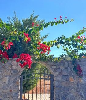 Koutsoupia House | View δύο υπνοδωματιων