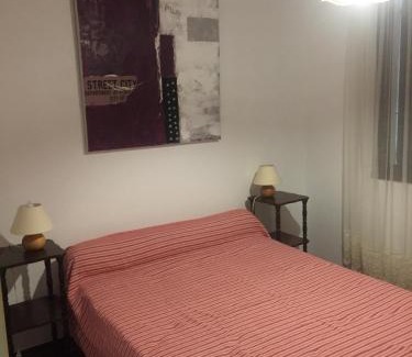 Ventiseri Apartment | vigne SUD