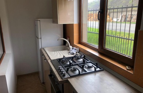 Brezoi House | Vila Bughianu