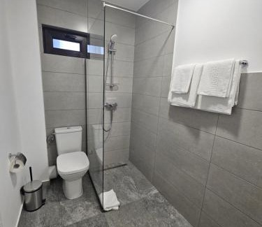 Alba Iulia Hotel | Vila Carol