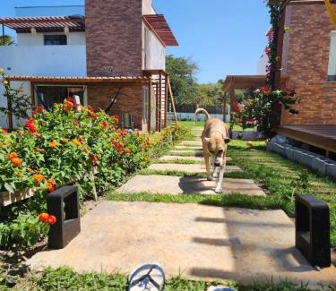 Santo Amaro do Maranhao House | VILA DO RIO