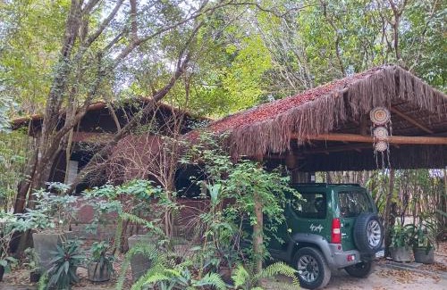 Pipa Bed & Breakfast | Vila Nativa