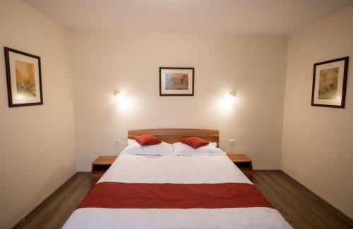 Brasov Apartment | Vila Nicopole Art & Wine