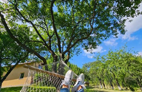 Poiana Marului House | Vila pe deal in Poiana Marului