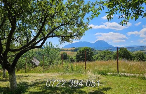 Poiana Marului House | Vila pe deal in Poiana Marului