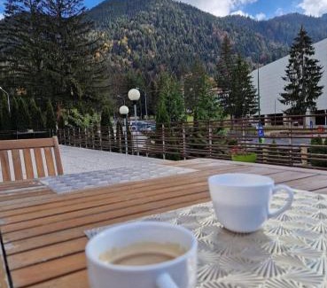 Poiana Brasov House | Vila Pinul si Mesteacanul