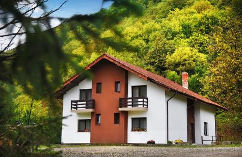 Slanic-Moldova House | Vila Poiana Verde