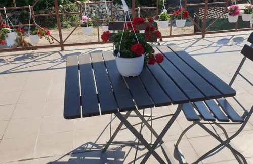 Costinesti Hotel | Vila Restaurant Angellys