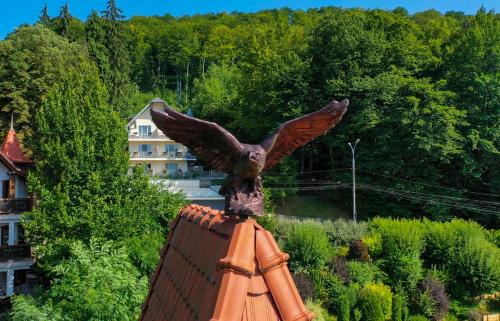 Sovata House | Vila Silvia