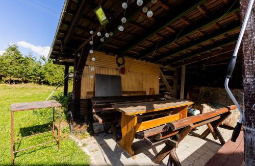 Paltinis Cabin | Vila Verde Păltiniș