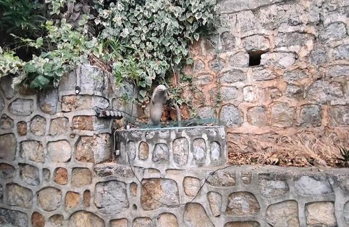 Dalaman Villa | villa çevik