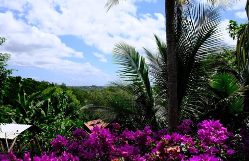 Sainte-Anne Villa | VILLA 4 PERSONS WITH POOL ATTENANTE