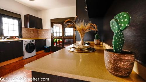 Llanos de la Concepcion House | Villa Abuelita Ana