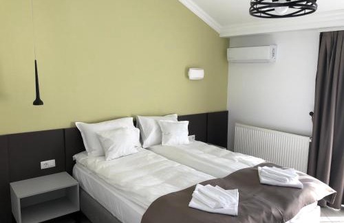 Baile Felix House | Villa Alisia