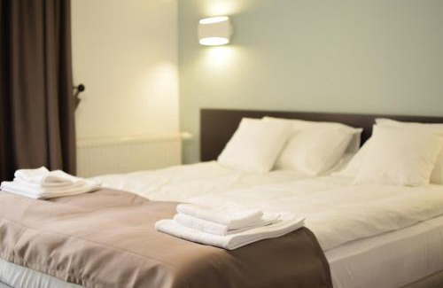 Baile Felix House | Villa Alisia