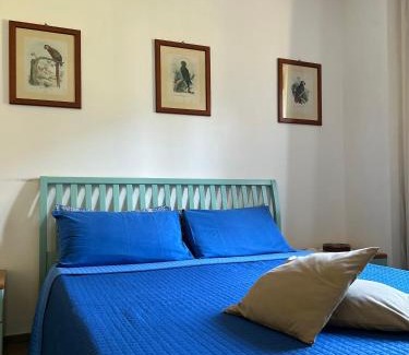 Avellino Bed & Breakfast | Villa Amalia