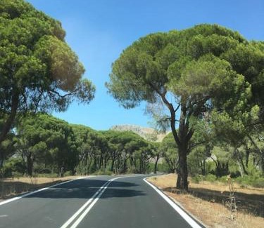 Kanelion Villa | Villa Anastasia! in STROFYLIA pine FOREST!