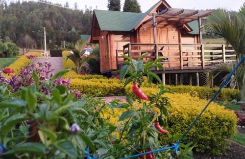 Paipa Cabin | Villa Angela Glamping & Tiny Houses