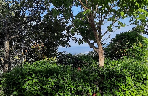 San Venanzo Bed & Breakfast | Villa Anna B&B