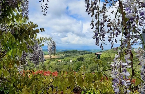 San Venanzo Bed & Breakfast | Villa Anna B&B