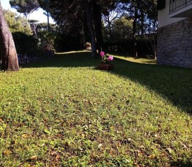 Tirrenia House | Villa Aurora