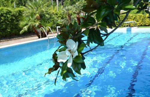 Vico Equense Villa | Villa Aurora