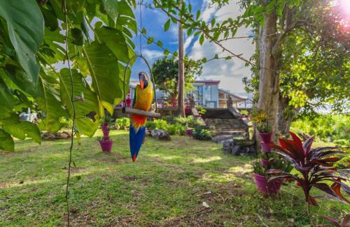 Sainte-Rose Villa | Villa avec piscine et vue sur la mer - Sainte Rose
