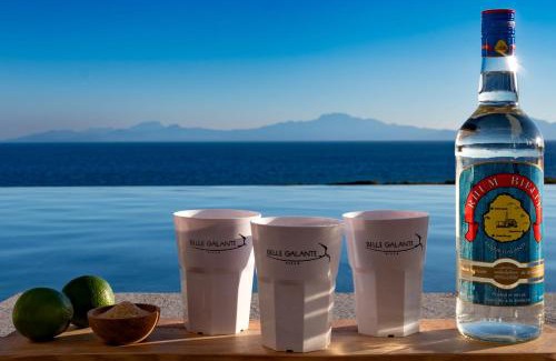 Grand-Bourg Villa | Villa Belle Galante