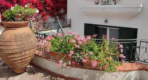 Tiberio House | Villa Bianca Maria