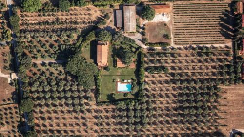 Castagneto Carducci Villa | Villa Bolgheri mare