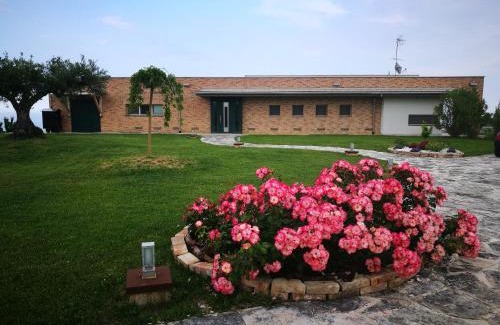 Cologna Spiaggia Apartment | Villa Borsacchio - Colle Magnone