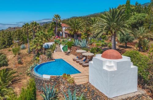 Puntagorda Villa | Villa Botánico