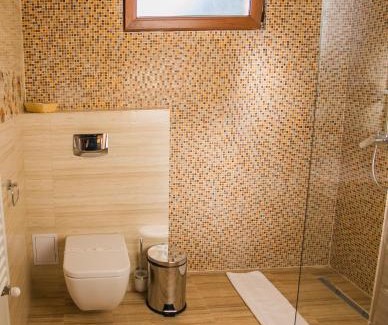 Brasov House | Villa Boutique ARNICA