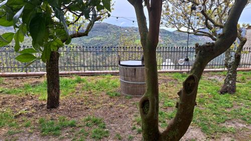 San Mauro Cilento Apartment | Villa Buendia