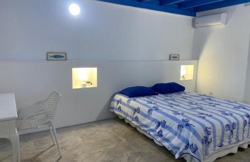 Saint-Francois House | villa CACTUS