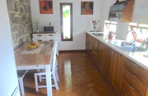 Santa Maria de Guia de Gran Canaria Villa | Villa Canaria piscina jacuzzi jardín