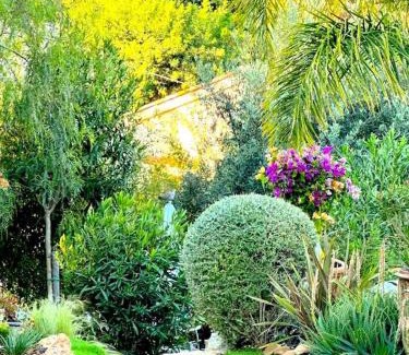 Sainte-Maxime Villa | Villa Carlina - Saint Tropez