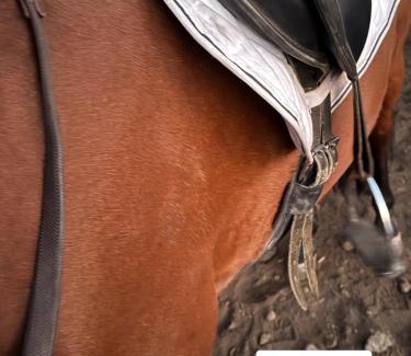 Ragalna House | Villa Casina dell'Etna