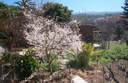 Montijos House | Villa Caya